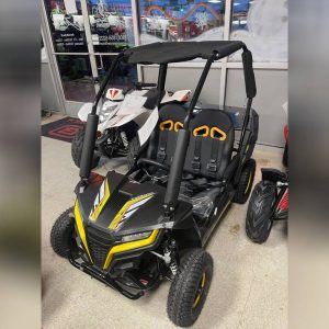 2023 Trailmaster Cheetah I6 Electric
