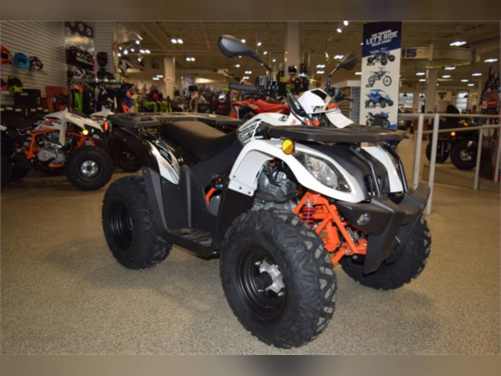 New 2021 Kayo Bull 200 For Sale